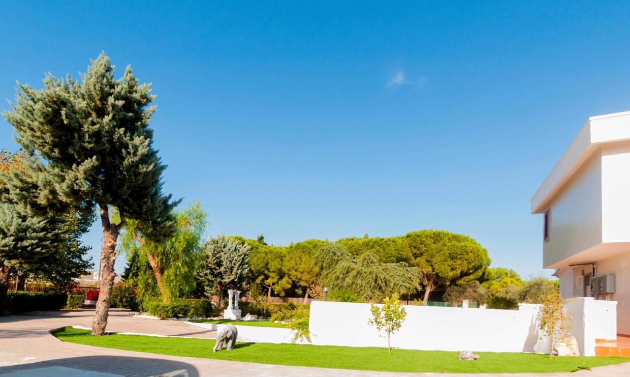 Paradise Beb Giovinazzo Exterior photo